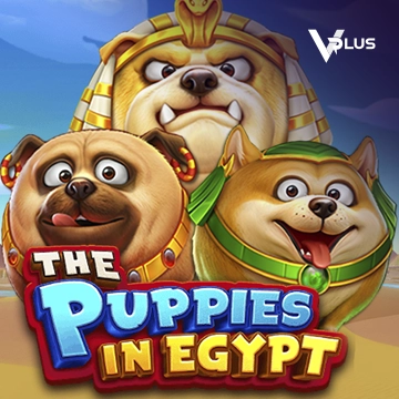 The Puppies In Egypt - HASEAGAMING
